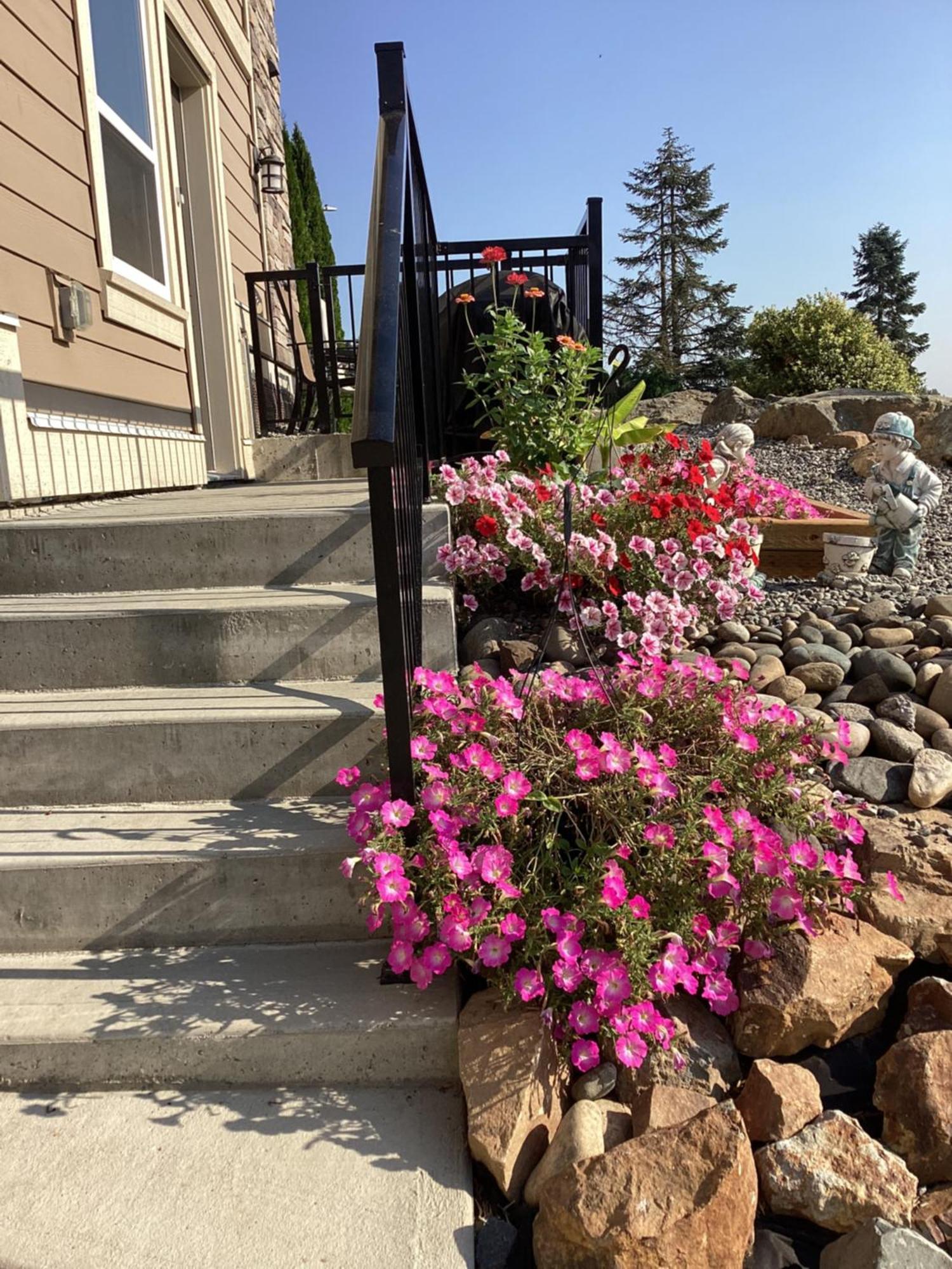 Mountain Retreat 3 Bedroom Garden House Near Heritage Park, Coliseum , Hwy 1, Fishing, Cultus Lake Чилівак Екстер'єр фото